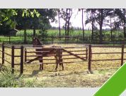 Rond door rond, paddock (hoogte 1,8 meter)