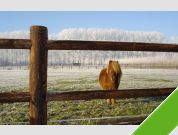 Rond door rond omheining
