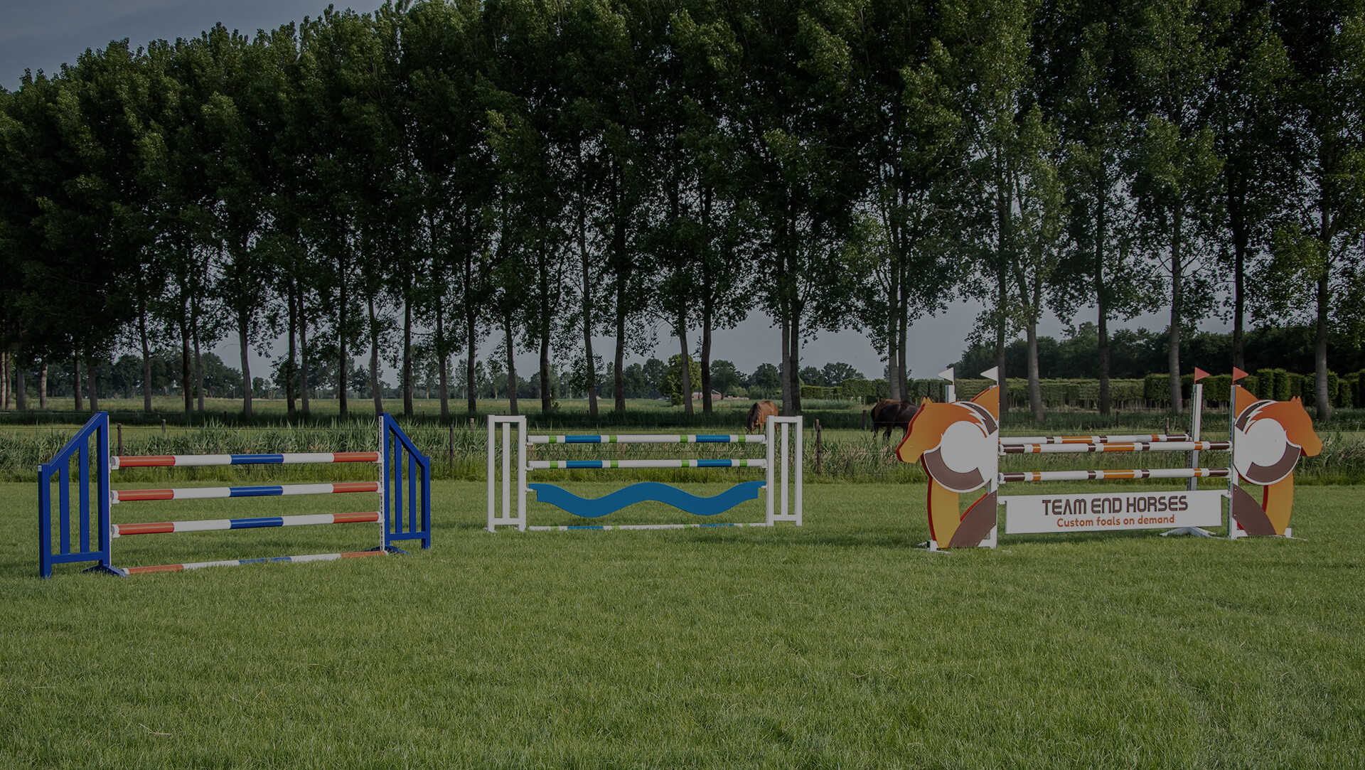 Header verkleind donker